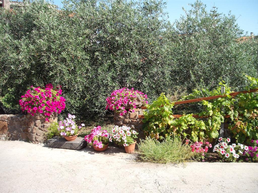 Domu De Palla- Iun-E5167 Bauladu Dış mekan fotoğraf